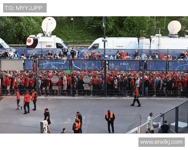 球迷假票事件调查