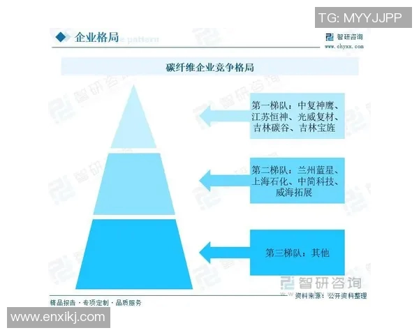 欧洲杯赛事经济效益分析及市场前景 欧洲杯赛事经济效益分析及市场前景