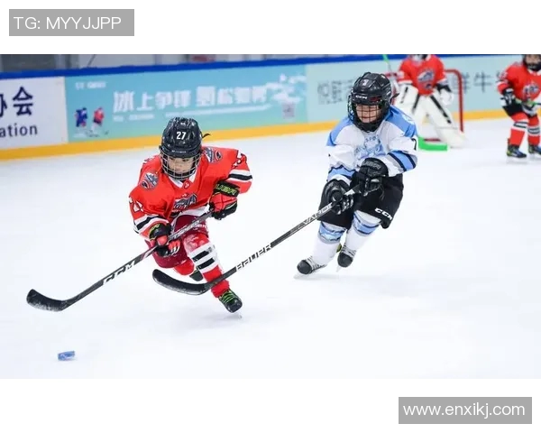 冰球联赛恶意犯规趋势与处罚机制历史演变及未来发展路径研究